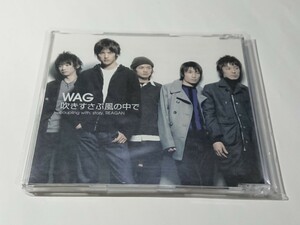 WAG「吹きすさぶ風の中で」CD