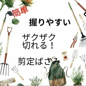 剪定ばさみ 園芸 園芸用品 枝切り 剪定 ハサミ ガーデニング 枝切 生花 の画像6