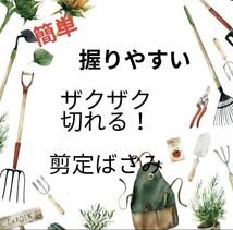 剪定ばさみ 園芸 園芸用品 枝切り 剪定 ハサミ ガーデニング 枝切 生花_画像6