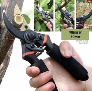  pruning scissors gardening gardening supplies branch cut . pruning scissors gardening branch cut natural flower 