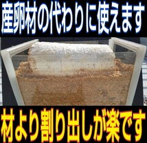 【3本セット】クワガタの産卵材の代わりに！オオヒラタケ菌床ブロック　簡単にほぐせるので幼虫の割り出しが楽です　マットに埋め込むだけ_画像6