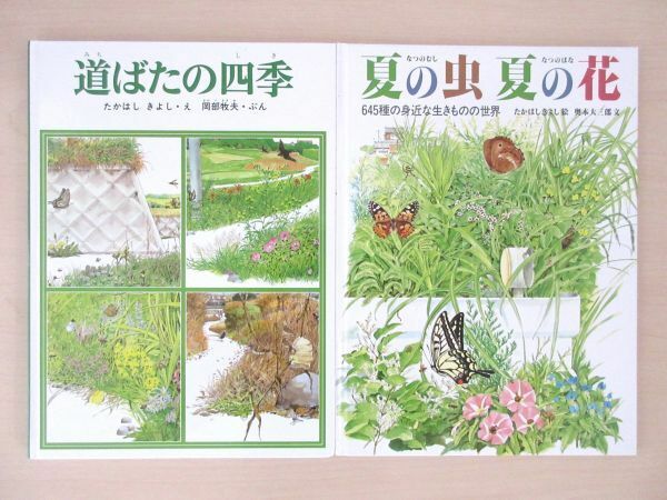 【びほん堂】人気絵本！！福音館書店　かがくのほん　絵本まとめて2冊セット★夏の虫夏の花★道ばたの四季★