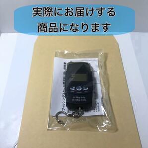 フィッシングスケール デジタル 釣り具 メジャー付き 計量 吊り下げ 計測 旅行 荷物 風袋機能 耐荷重50kg バックライトLED 送料無料の画像9