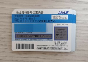 ANA全日空 株主優待券10枚セット 2024年5月31日まで