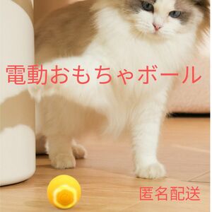 グリーン　猫のおもちゃ　電動自動ボール　光るLED　回転　健康　コロコロ　　運動