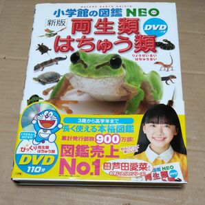 両生類・はちゅう類（小学館の図鑑ＮＥＯ　６）DVDつき（新版） 松井正文／監修・執筆　疋田努／監修・執筆　太田英利／監修・執筆