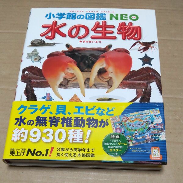 水の生物 （小学館の図鑑ＮＥＯ　７） 白山義久／〔ほか〕指導・執筆　松沢陽士／ほか撮影　楚山いさむ／ほか撮影