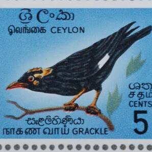 J431 スリランカ切手「セイロンに生息する鳥4種中型シート」1966年発行 未使用の画像3