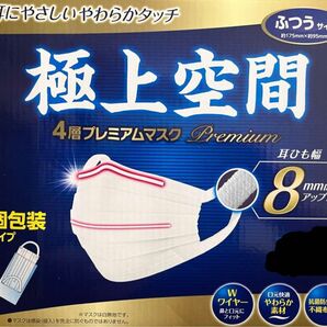 【即日発送】送料無料　コストコ　極上空間マスク　ふつうサイズ　個包装タイプ　お試し30枚