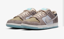 Nike SB Dunk Low Pro "Big Money Savings"ナイキ SB ダンク ロー プロ "ビッグマネー セービングス" 28cm_画像6