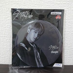 Stray Kids ストレイキッズ スキズ BIG缶バッジ Changbin チャンビン プライズ