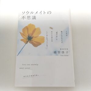 ソウルメイトの不思議 人生は誰でもかならず「魂の友」にめぐり会えるしくみになっている! 越智啓子/著