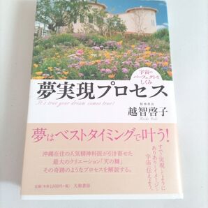夢実現プロセス 宇宙のパーフェクトなしくみ It’s true your dream comes true! 越智啓子/著