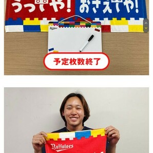 5月5日(日祝)オリックスVS北海道日本ハム 京セラドーム大阪 S指定席ペアチケットの画像4