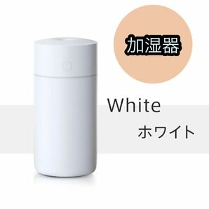 加湿器　USB加湿器　超音波式　乾燥対策　花粉　超微細　コンパクト　車内　静音 ホワイト 