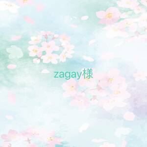 zagay様6点セット