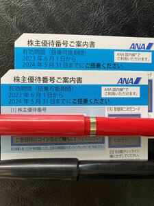 ANA株主優待 2枚セット(郵送、番号通知対応)2024年5月31日まで