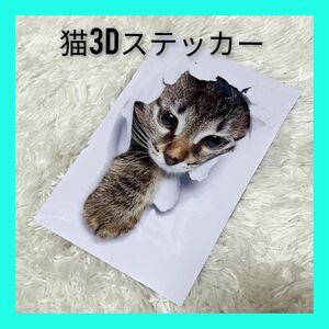 3D　カーステッカー 9×14㎝　猫　ねこ　シール　カー用品　送料無料 