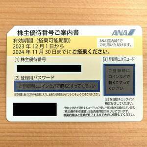 ★ANA★　株主優待券1枚　有効期限2024年11月30日まで