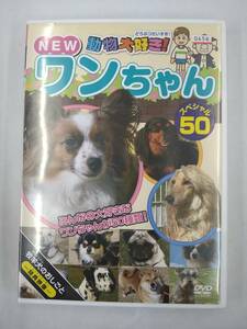 vdw11818 NEW動物大好き！ワンちゃん　スペシャル50/DVD/レン落/送料無料