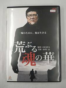 vdw12032 荒ぶる魂の華/DVD/レン落/送料無料