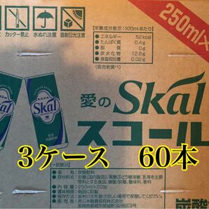 愛のスコール（炭酸飲料）250ml 20本入り　3ケース60本