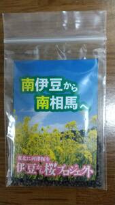 ■　菜の花 の 種　■南伊豆から南相馬へ■東北に河津桜を■伊豆から桜プロジェクト■非売品■