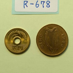 外国コイン アイルランド (Rー６７８) ２０ペンス硬貨 １９８６年 動物 馬の画像6