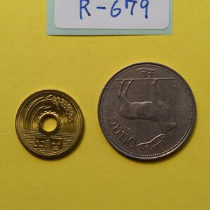 外国コイン アイルランド (Rー６７９) １ポンド硬貨 １９９０年 動物 鹿(シカ)の画像3