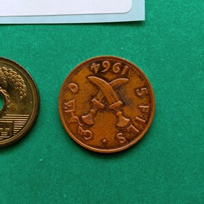 外国コイン イギリス保護領 南アラビア (Rー６９９) ５フィルス硬貨 １９６４年の画像5