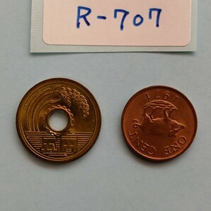 外国コイン バミューダ (Rー７０７) １セント硬貨 １９７１年 動物 イノシシ(猪)の画像4