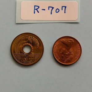 外国コイン バミューダ (Rー７０７) １セント硬貨 １９７１年 動物 イノシシ(猪)の画像9
