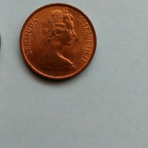 外国コイン バミューダ (Rー７０７) １セント硬貨 １９７１年 動物 イノシシ(猪)の画像8