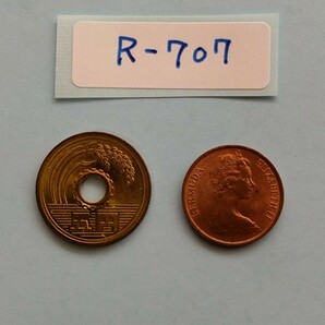 外国コイン バミューダ (Rー７０７) １セント硬貨 １９７１年 動物 イノシシ(猪)の画像6