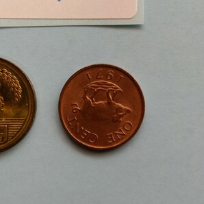 外国コイン バミューダ (Rー７０７) １セント硬貨 １９７１年 動物 イノシシ(猪)の画像5