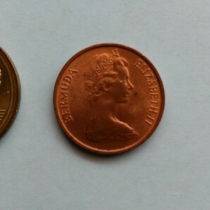 外国コイン バミューダ (Rー７０７) １セント硬貨 １９７１年 動物 イノシシ(猪)の画像7