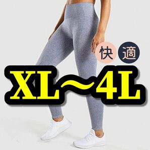 大きいサイズ レディース ヨガ フィットネス トレーニング ジム シームレス 弾性 着圧 カジュアル 美脚 XL 3L 4L