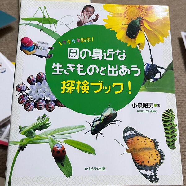 園の身近な生きものと出あう探検ブック! 小泉昭男 著
