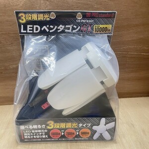  prompt decision!10,000 lumen LED pen tagon light CH-PNT83GT new goods unused tax included 