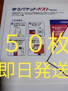 ゆうパケットポストmini専用封筒５０枚　即日発送