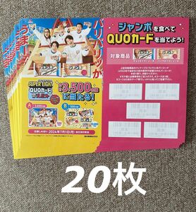 森永チョコモナカジャンボキャンペーン応募用紙２０枚 スーパーエイト