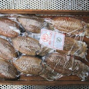 お刺身用「甲烏賊12尾入り4kg」高級珍味 山陰境港産の画像10