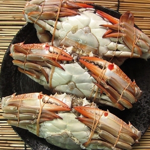 特大「子持ちワタリ蟹 1kgセット」活冷凍 スリランカ産の画像3