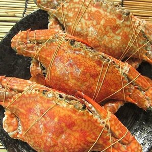 台湾ガザミ★メスのみ★ 「ワタリ蟹1kg」 10尾前後、 バーレーン産の画像3