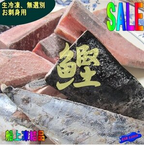 極上品「生鰹1kg」お刺身用（船上凍結品）一本釣りカツオ ロイン