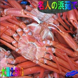 3箱【即納】名人の「浜茹で蟹L-2.5kg」A級品、釜揚げ即冷凍/山陰境港産．．．の画像1