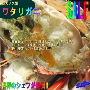 台湾ガザミ★メスのみ★ 「ワタリ蟹1kg」 10尾前後、 バーレーン産の画像2