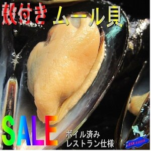 大量です。「殻付きムール貝1kg」高級レストラン仕様　ボイル済み/チリ産