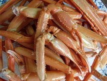【即納】紅ずわい「yボイル済み足3kg」（殻付き足）蟹の本場、境港産_画像7