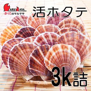 [ краб. maru masa] Hokkaido производство . гребешок .3 kilo .